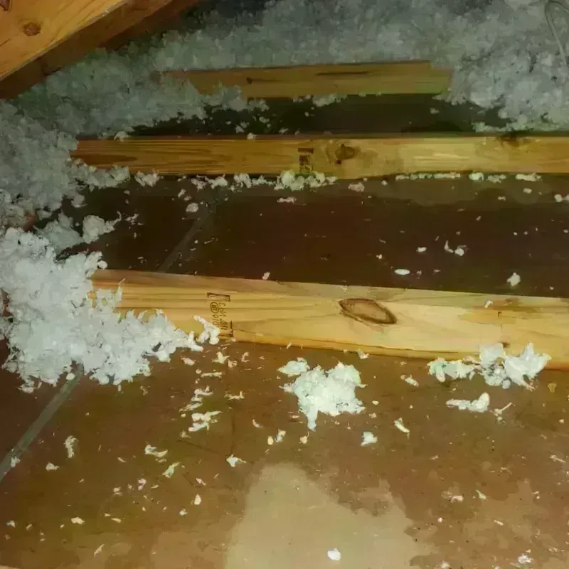 Attic Water Damage in Montezuma, GA