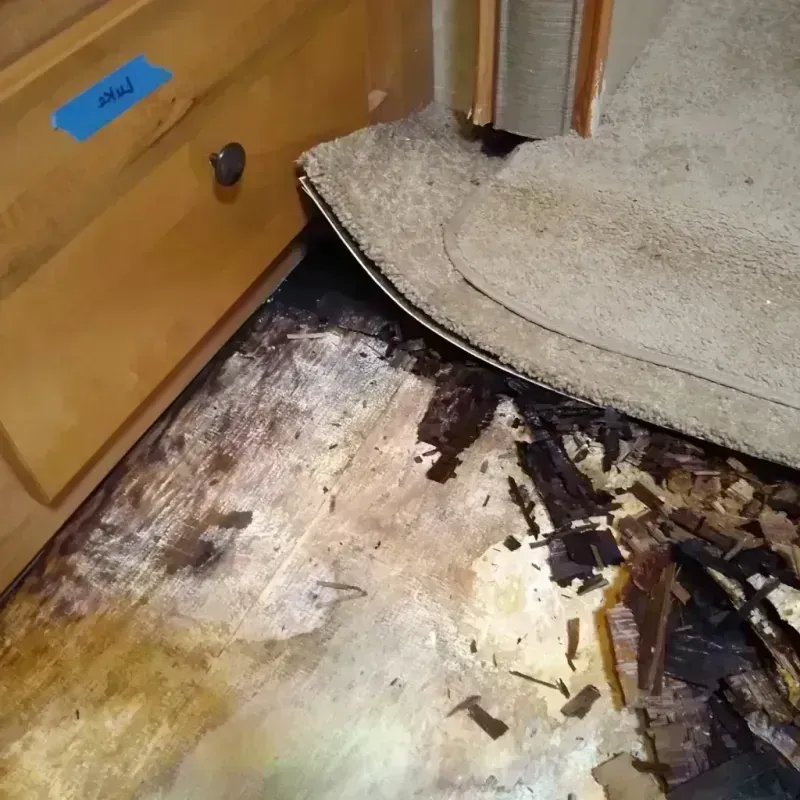 Wood Floor Water Damage in Montezuma, GA